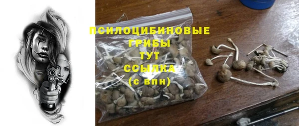 гашик Касимов
