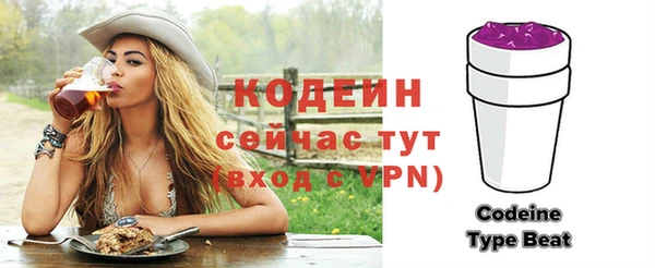 СК Каменногорск