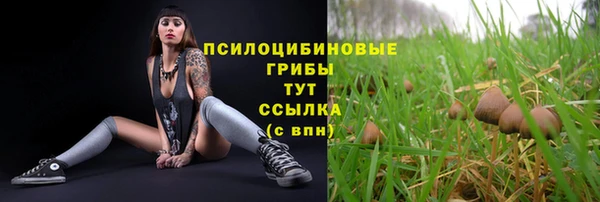 мдма Карпинск
