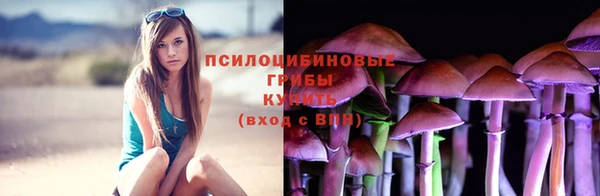 СК Каменногорск