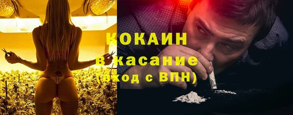 гашик Касимов
