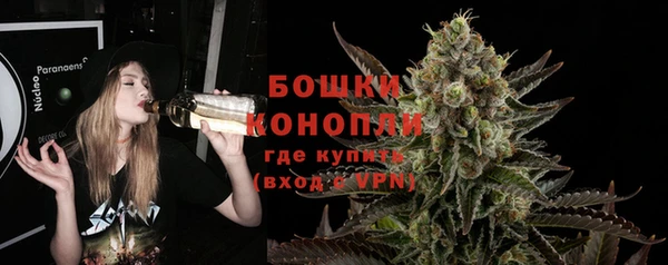 apvp Инта