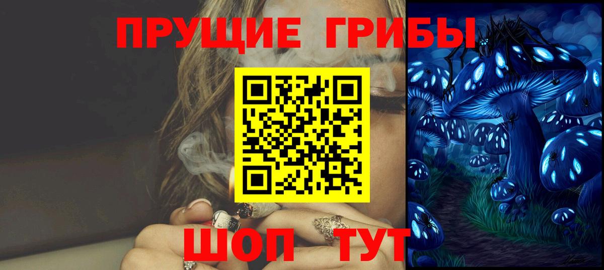 Псилоцибиновые грибы Psilocybine cubensis  Галлюциногенные грибы Cubensis  Вход с VPN  Кингисепп 